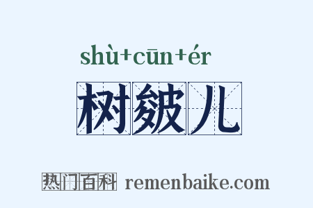 树皴儿是什么意思的图片